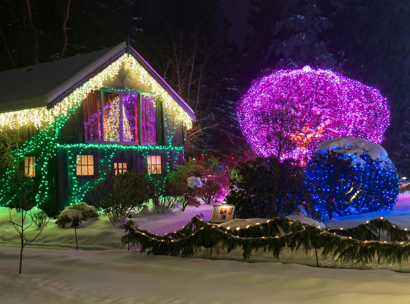 Full house with colorful Christmas lights at night