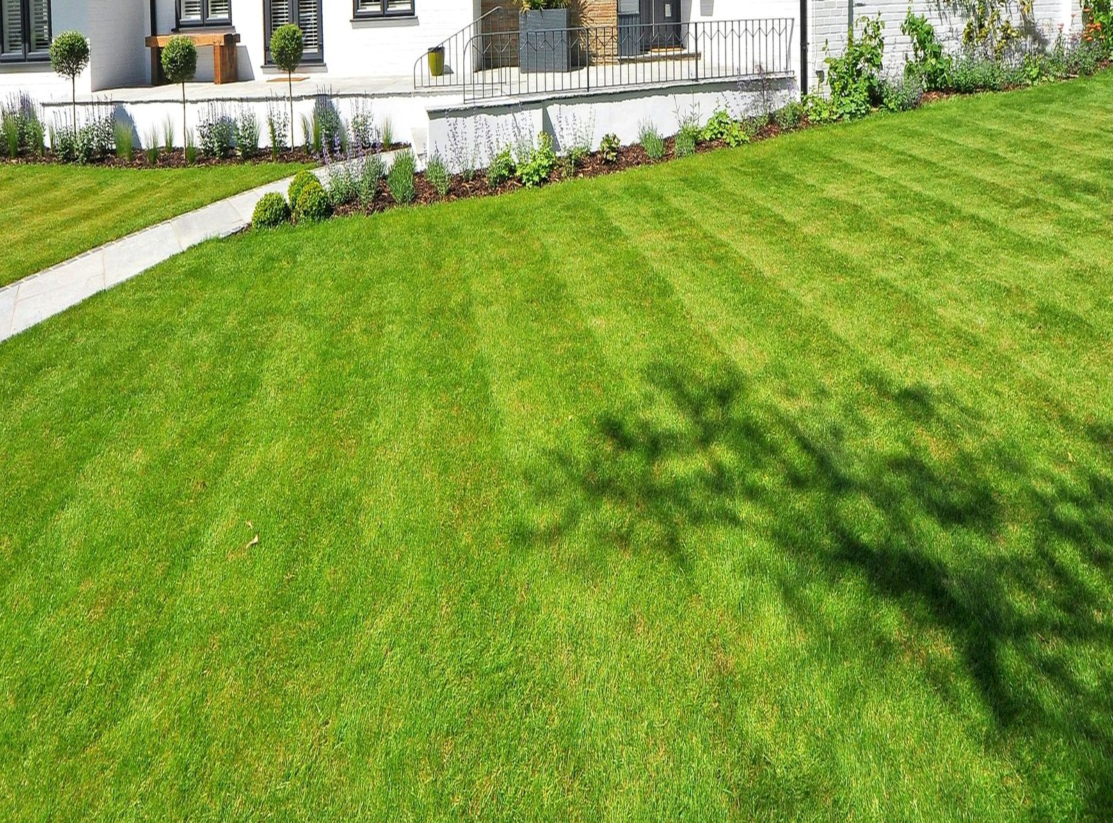 Mowing service photo