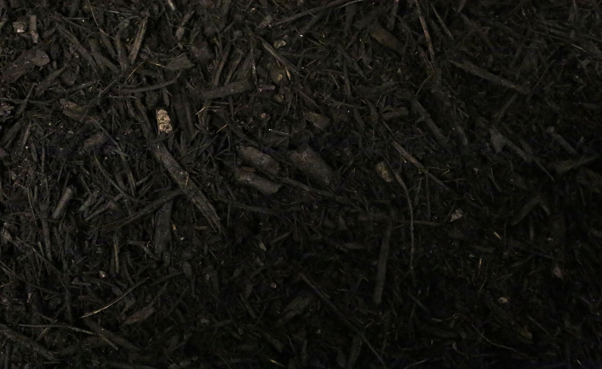 Premium home with clean landscaped mulch beds