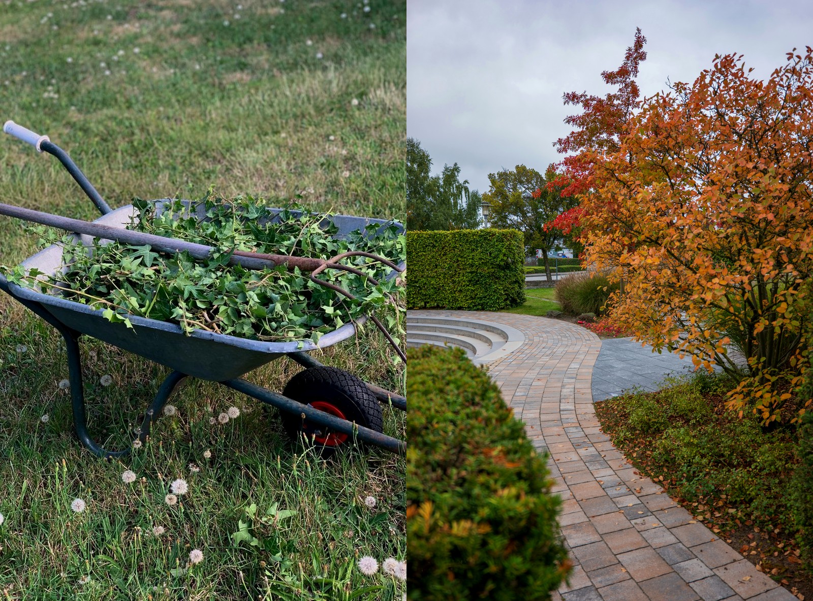 Spring and fall cleanup service photo